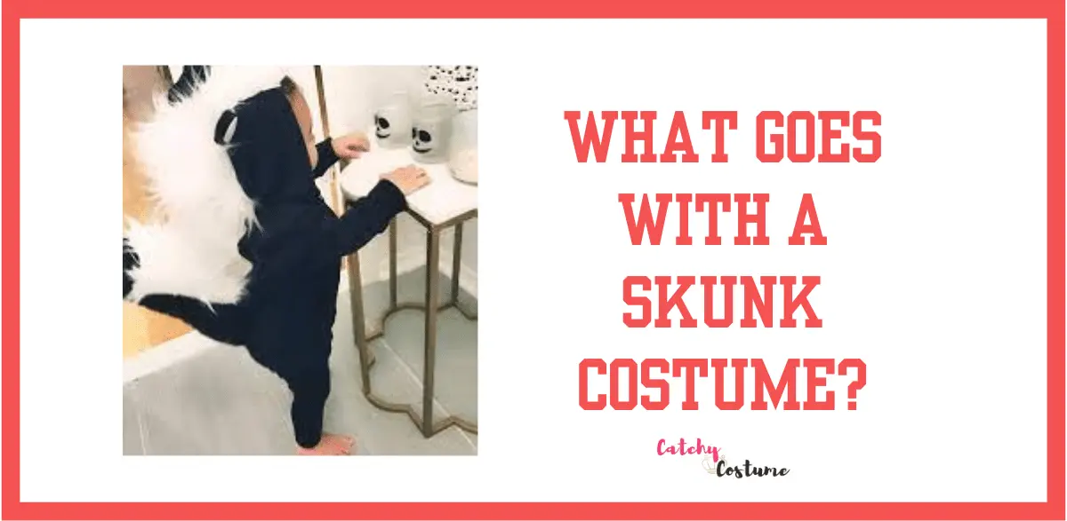 What Goes With A Skunk Costume? More Details - CatchyCostume