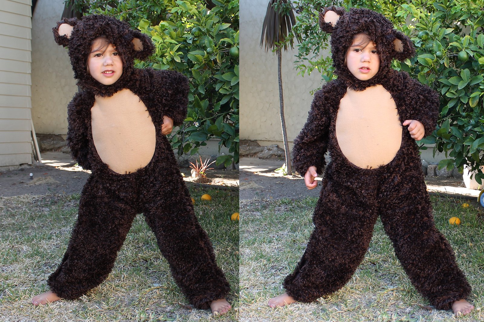 How To Make A Bear Costume?